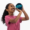 image:imageFranklin Sports NBA Toy Basketballs  2 Pack of Kids Soft Mini Basketballs for Over The Door  Indoor Hoops  NBA Fan ShopCharlotte Hornets