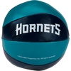 image:imageFranklin Sports NBA Toy Basketballs  2 Pack of Kids Soft Mini Basketballs for Over The Door  Indoor Hoops  NBA Fan ShopCharlotte Hornets