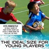 image:imageFranklin Sports NFL Team Mini Footballs  Youth 85 Official NFL Licensed Football  Air Pump SetJacksonville Jaguars