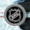 image:imageFranklin Sports NHL Cage Steel Goal  72