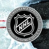 image:imageFranklin Sports NHL Team 48 Vinyl Street Hockey StickMinnesota Wild