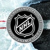 image:imageFranklin Sports NHL Team 48 Vinyl Street Hockey StickWashington Capitals