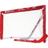Detroit Red Wings