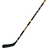 Boston Bruins