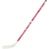 Detroit Red Wings