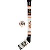 Anaheim Ducks