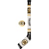 Boston Bruins
