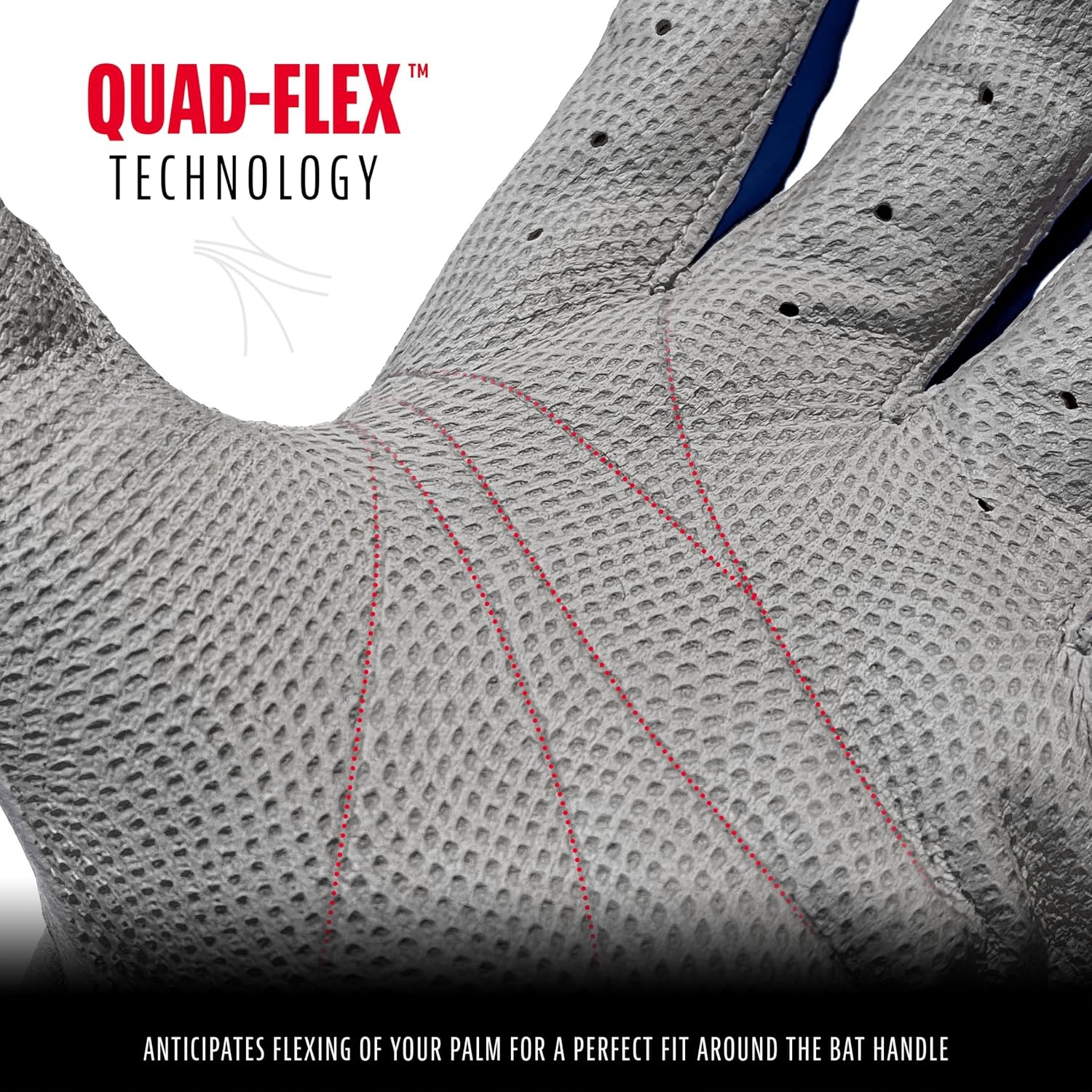 image:imageFranklin Sports MLB Baseball Batting Gloves  CFX Pro Youth and Adult  Baseball  Softball  Multiple Sizes  ColorsGrayNavy