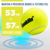 image:imageFranklin Sports  Axel Padel Set  2 Fiberglass Padel Rackets with Foam Core Balls amp Carrying Case and Replacement BallsReplacement Balls
