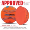 image:imageFranklin Sports  Pro Brite  Neon Rubber Teeball  MLB  Youth Tball  Baseball  Softball  Indoor amp Outdoor Use12 pack
