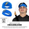 image:imageFranklin Sports Baseball  Softball Headband  Workout  Athletic Headbands for Men  Women  Sweat Wicking for Running  Exercise  One Size Fits MostRoyal