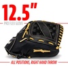 image:imageFranklin Sports Baseball Glove  Proflex Adult Baseball  Softball Glove  Outfield  Infield  Right and Left HandRight Hand Throw