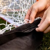 image:imageFranklin Sports Fibertech Lacrosse Goal Backstop  12 x 9