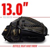 image:imageFranklin Sports Field Master Baseball  Softball Glove  Field Master Adult  Youth Baseball  Softball Mitt  Mens  Womens GlovesBlackGold