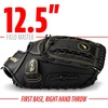 image:imageFranklin Sports Field Master Baseball  Softball Glove  Field Master Adult  Youth Baseball  Softball Mitt  Mens  Womens GlovesBlackGold