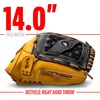 image:imageFranklin Sports Field Master Baseball  Softball Glove  Field Master Adult  Youth Baseball  Softball Mitt  Mens  Womens GlovesTan