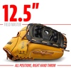 image:imageFranklin Sports Field Master Baseball  Softball Glove  Field Master Adult  Youth Baseball  Softball Mitt  Mens  Womens GlovesTan