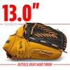 image:imageFranklin Sports Field Master Baseball  Softball Glove  Field Master Adult  Youth Baseball  Softball Mitt  Mens  Womens GlovesTan