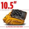 image:imageFranklin Sports Field Master Baseball  Softball Glove  Field Master Adult  Youth Baseball  Softball Mitt  Mens  Womens GlovesTan