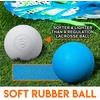 image:imageFranklin Sports Kids Mini Lacrosse Stick  Ball Set  Venom Youth Plastic Lacrosse Stick for Beginners  Perfect Set for Kids  ToddlersBlue