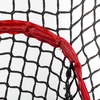 image:imageFranklin Sports MLB 7 x 7 Flexpro Backstop Net