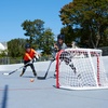 image:imageFranklin Sports Mini Steel Goal  28 x 20