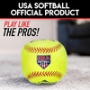 image:imageFranklin Sports MyFirst Soft Plush Sports Balls  Stuffed Plush Toy Basketball Baseball  Football for Kids  NBA MLB  NFL Indoor Soft Sports Balls  Fun Kids Toys  Room DecorationsSoftball