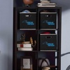 image:imageFranklin Sports NFL Storage Bins  Collapsible Cube Container  Basket  NFL Office Bedroom  Living Room  11x11Carolina Panthers