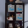 image:imageFranklin Sports NFL Storage Bins  Collapsible Cube Container  Basket  NFL Office Bedroom  Living Room  11x11Detroit Lions