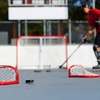image:imageFranklin Sports NHL Street Roller Hockey Pucks  Pro Commander Outdoor Roller Hockey Pucks for Practice  Training  Outdoor Hockey Street Pucks with Rollers  24 Bulk Packs 6 Packs  Single PucksBlack  Pack of 24