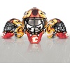 image:imageFranklin Sports NHL Team Logo Mini Hockey Goalie Mask with Case  Collectible Goalie Mask with Official NHL Logos and ColorsCalgary Flames
