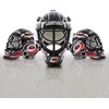 image:imageFranklin Sports NHL Team Logo Mini Hockey Goalie Mask with Case  Collectible Goalie Mask with Official NHL Logos and ColorsCarolina Hurricanes