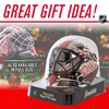 image:imageFranklin Sports NHL Team Logo Mini Hockey Goalie Mask with Case  Collectible Goalie Mask with Official NHL Logos and ColorsDetroit Red Wings