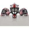 image:imageFranklin Sports NHL Team Logo Mini Hockey Goalie Mask with Case  Collectible Goalie Mask with Official NHL Logos and ColorsDetroit Red Wings