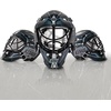 image:imageFranklin Sports NHL Team Logo Mini Hockey Goalie Mask with Case  Collectible Goalie Mask with Official NHL Logos and ColorsLA Kings