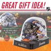 image:imageFranklin Sports NHL Team Logo Mini Hockey Goalie Mask with Case  Collectible Goalie Mask with Official NHL Logos and ColorsNew York Islanders