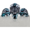 image:imageFranklin Sports NHL Team Logo Mini Hockey Goalie Mask with Case  Collectible Goalie Mask with Official NHL Logos and ColorsSeattle Kraken