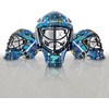 image:imageFranklin Sports NHL Team Logo Mini Hockey Goalie Mask with Case  Collectible Goalie Mask with Official NHL Logos and ColorsSt Louis Blues