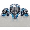 image:imageFranklin Sports NHL Team Logo Mini Hockey Goalie Mask with Case  Collectible Goalie Mask with Official NHL Logos and ColorsTampa Bay Lightning