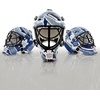 image:imageFranklin Sports NHL Team Logo Mini Hockey Goalie Mask with Case  Collectible Goalie Mask with Official NHL Logos and ColorsToronto Maple Leafs