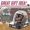 image:imageFranklin Sports NHL Team Logo Mini Hockey Goalie Mask with Case  Collectible Goalie Mask with Official NHL Logos and ColorsVegas Golden Knights