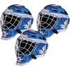 image:imageFranklin Sports NHL Team Logo Mini Hockey Goalie Mask with Case  Collectible Goalie Mask with Official NHL Logos and ColorsWinnipeg Jets
