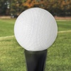 image:imageFranklin Sports Plastic Baseballs 70mm