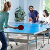 image:imageFranklin Sports Table Tennis Paddles  Rubber Paddle  Indoor Ping Pong PaddleREGULATOR