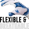 image:imageFranklin Sports Youth NCAA Football Receiver Gloves  Receiver Gloves for Kids  NCAA Team Logos and Silicone Palm  Youth Pair  Great for Games amp CostumesKentucky Wildcats