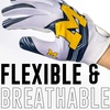 image:imageFranklin Sports Youth NCAA Football Receiver Gloves  Receiver Gloves for Kids  NCAA Team Logos and Silicone Palm  Youth Pair  Great for Games amp CostumesMichigan Wolverines