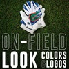 image:imageFranklin Sports Youth NCAA Football Receiver Gloves  Receiver Gloves for Kids  NCAA Team Logos and Silicone Palm  Youth Pair  Great for Games amp CostumesFlorida Gators