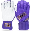 Purple/Gold