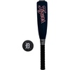 Detroit Tigers