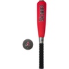 Arizona Diamondbacks